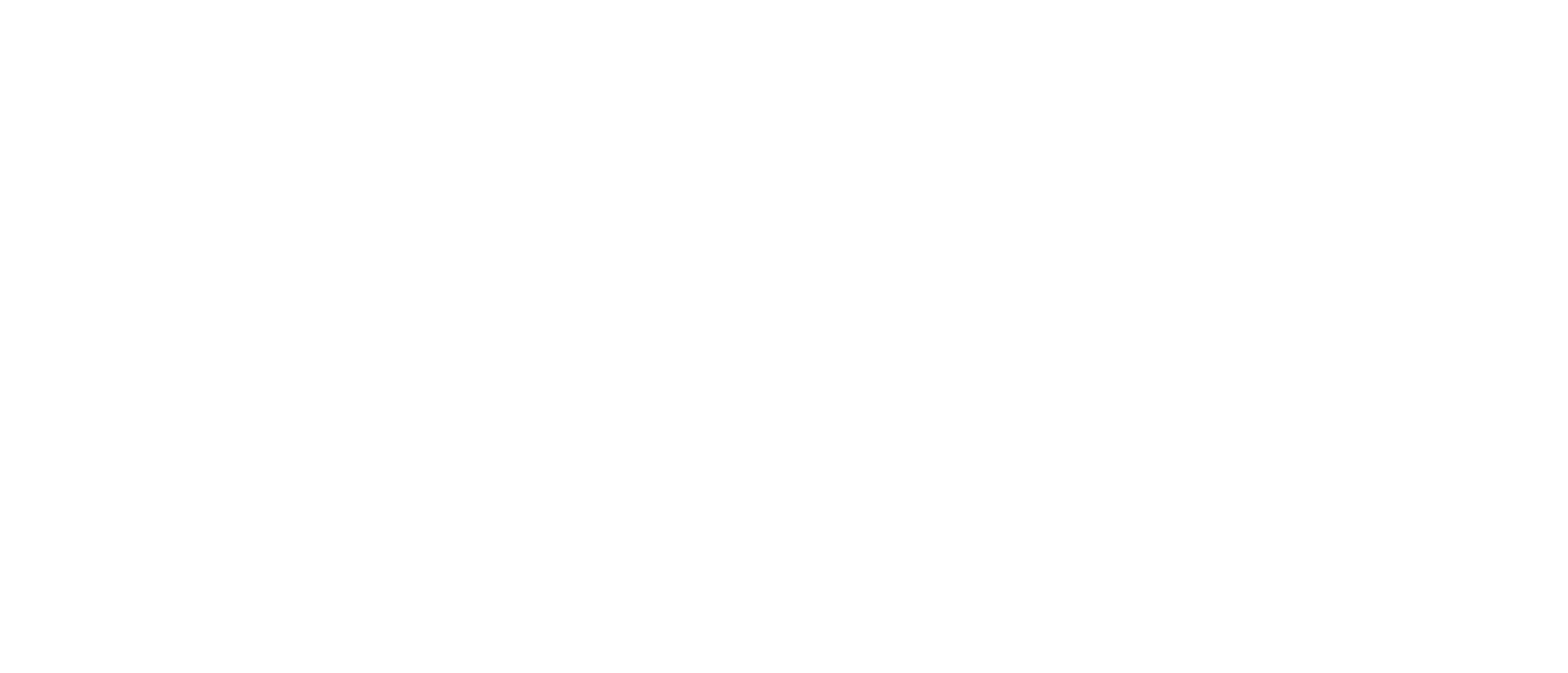 logo DIVA Syndicat